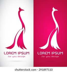 Peacock design, logo, symbol, icon, graphic, vector