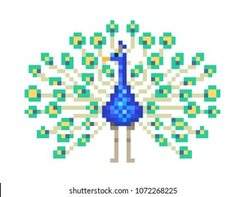 Peacock displaying beautiful feathery tail, pixel art icon isolated on white background. Bird symbol of indian culture. National park/zoo animal. Retro old school 8 bit 80s; 90s video game graphics.