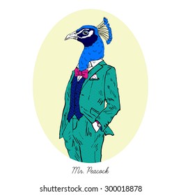 peacock dressed up in colorful suit, fashion bird illustration, anthropomorphic design, furry art, hand drawn graphic, human-bird