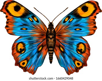 peacock eye fabulous barcode beautiful Urania Madagascar vector illustration blue yellow orange butterfly