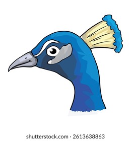 A Peacock face vector illustration