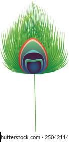 peacock feather
