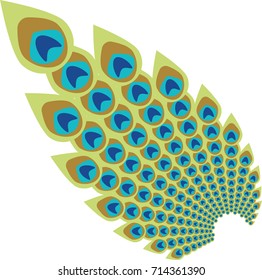 Peacock feather abstract vector illustration