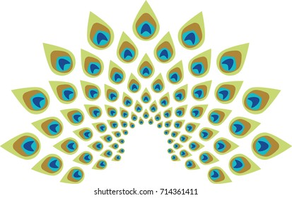 Peacock feather abstract vector illustration