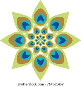 Peacock feather abstract vector illustration