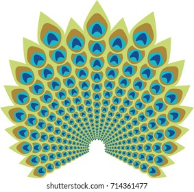 Peacock feather abstract vector illustration