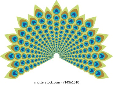 Peacock feather abstract vector illustration