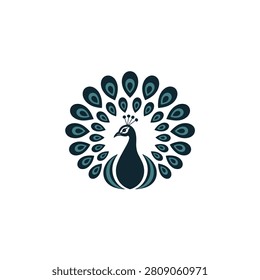 Peacock Feather Arrangement Teal And Navy Vector Illustration