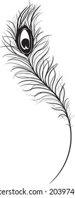 peacock feather art, vector illustration