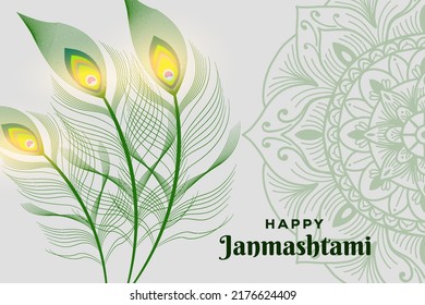 peacock feather background illustration for Janmashtami Festival