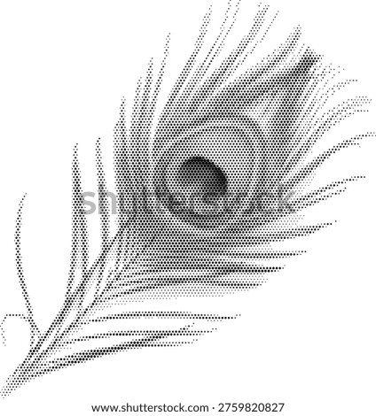 peacock feather bird nature exotic organic animal wildlife beauty pattern detail decorative blue plum feathers plume natural wing texture ornamental elegance