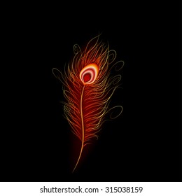 Peacock feather with black background. vector