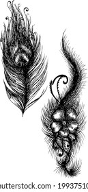 peacock feather, black feather, feather vector ,peacock feather vector
