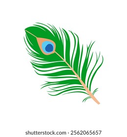 Peacock Feather, Diwali, Hindu, Indian Symbol Illustration