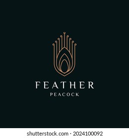Peacock feather elegant gold logo icon design template flat vector illustration