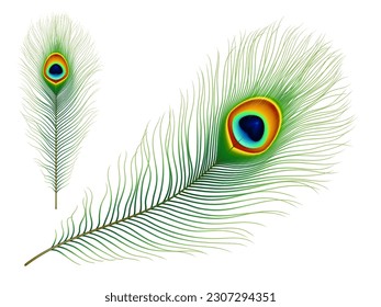 Pluma de pavo real. Pájaro tropical exótico realista vector colorido pluma verde con un patrón de iridiscencia ocular. Correa aislada de cola de ave de corral o ave fénix mágica, elemento de decoración elegante