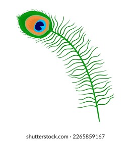 Pluma de pavo real. Pluma de pavo real en ilustración de estilo plano aislada en fondo blanco. Ilustración del vector