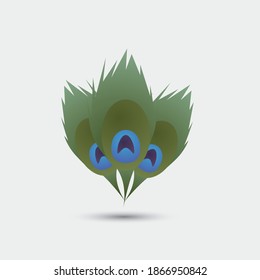 Peacock feather graphic vector clip art design
