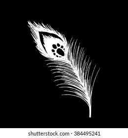  Peacock feather. Hand drawing illustration.