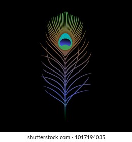 peacock feather illustration