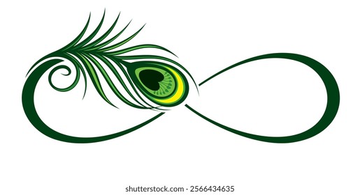 Peacock feather infinity vector illustration for decoration,  feather logo