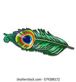 Peacock feather isolated on a white background. Vector cartoon close-up illustration.
