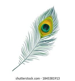 Peacock feather isolated vector icon, realistic bird plume with green and gold colored ornament. Beautiful fluffy iridescent feather from peafowl tail. Graphic element for design, decoration detail