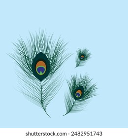 Peacock feather isolated vector icon, green and gold colored ornament. Beautiful fluffy iridescent feather from peafowl tail. Graphic element for design, decoration detail with blue background