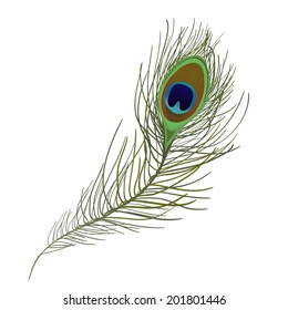 Peacock Feather isolated. vector illustration