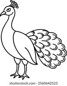 Peacock Feather Line Art Vector Illustration