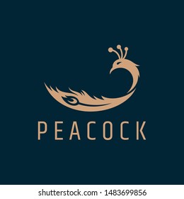 peacock feather logo vector. elegant bird flat style. simple modern animal design