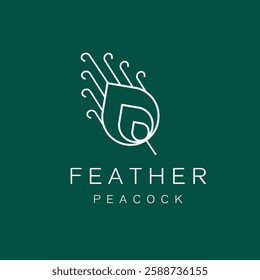 peacock  Feather logo vector illustation 