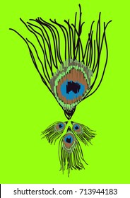 Peacock feather on green background