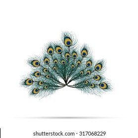 Peacock Feather On Isolated Background. Vector