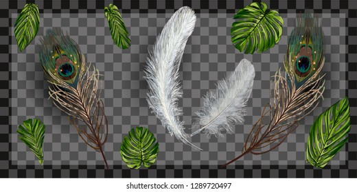 Peacock feather on transparent background in realistic style vector illustration. design template, brochure, glowing poster of carnival, masquerade, dance party. Vector illustration