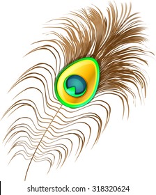 Peacock feather on white background.Vector illustration of colorful peacock plume.