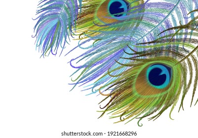 Peacock feather realistic in boho style. Luxury design.