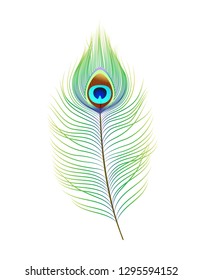 Peacock feather, realistic vector illustration. Decor element for design