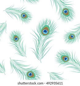 Peacock Feather Seamless Pattern. Vector Illustration