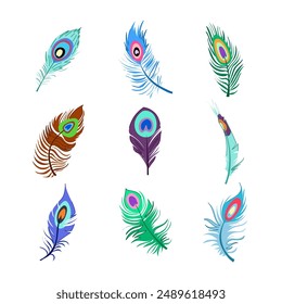 peacock feather set cartoon. abstract hand, bird drawing, watercolor goose peacock feather sign. isolated symbol vector illustration