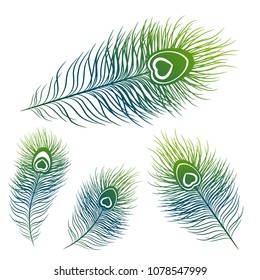 Peacock feather set in different shapes