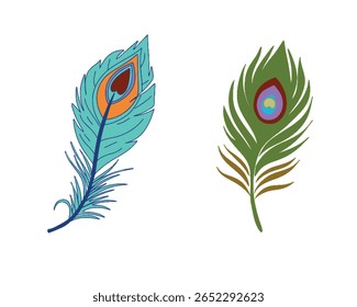 peacock feather silhouette vector art illustration