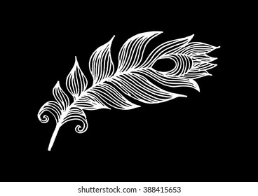 Peacock feather with sketchy style