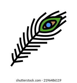 peacock feather soft fluffy color icon vector. peacock feather soft fluffy sign. isolated symbol illustration