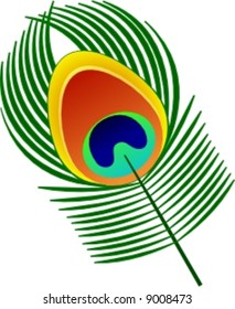 peacock feather vector