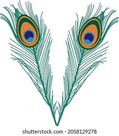 Pfauenfeder, Vektorkunst und Illustration