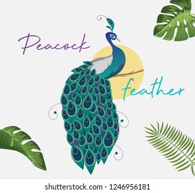 Peacock feather vector beautiful tropical leaf. Perfect for wallpapers