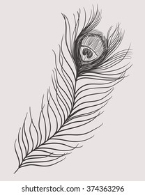 Peacock feather. Vector black and white illustration. Tattoo