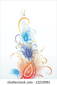 Peacock feather vector color illustration