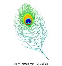 Peacock feather. Vector. Detailed portrayal.